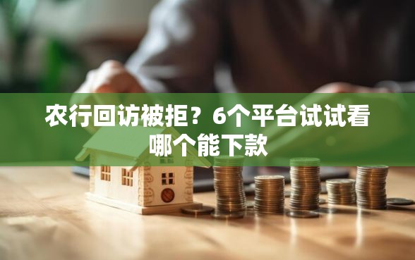 农行回访被拒？6个平台试试看哪个能下款