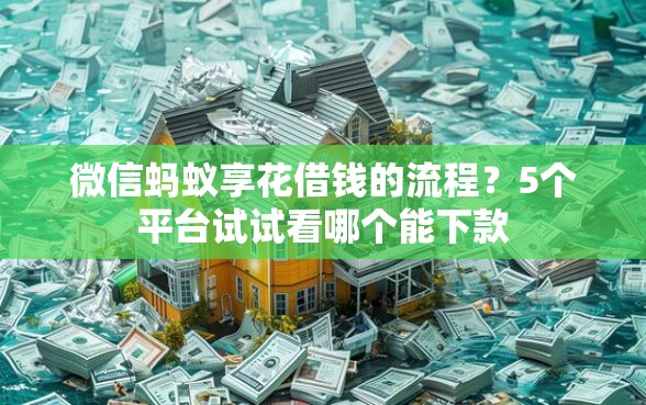 微信蚂蚁享花借钱的流程？5个平台试试看哪个能下款