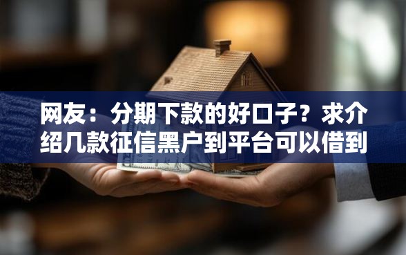 网友：分期下款的好口子？求介绍几款征信黑户到平台可以借到钱