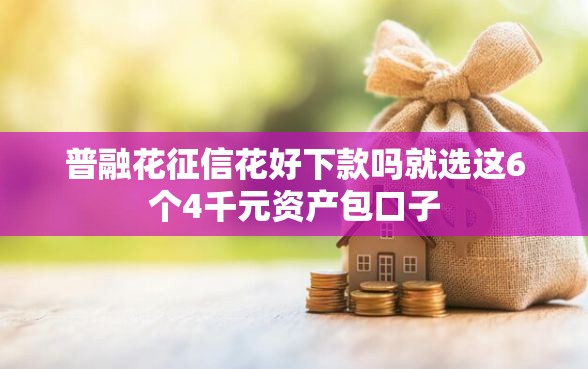 普融花征信花好下款吗就选这6个4千元资产包口子