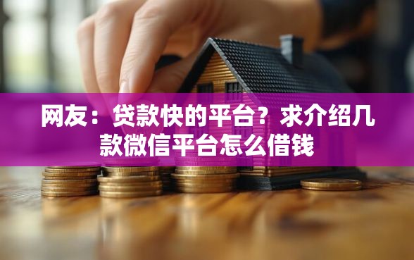 网友：贷款快的平台？求介绍几款微信平台怎么借钱