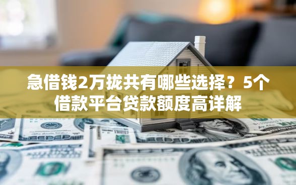 急借钱2万拢共有哪些选择？5个借款平台贷款额度高详解