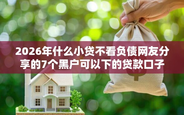 2026年什么小贷不看负债网友分享的7个黑户可以下的贷款口子我觉得不错！