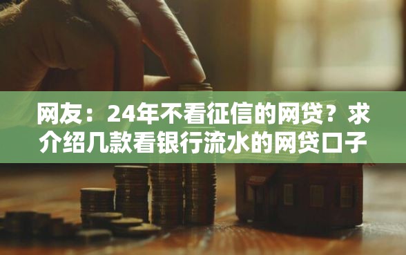 网友：24年不看征信的网贷？求介绍几款看银行流水的网贷口子