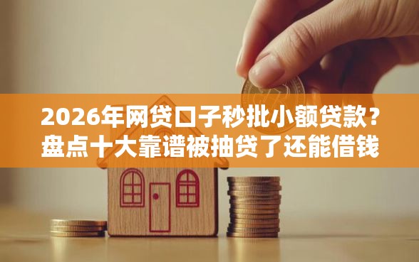 2026年网贷口子秒批小额贷款？盘点十大靠谱被抽贷了还能借钱的软件