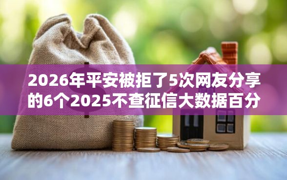 2026年平安被拒了5次网友分享的6个2025不查征信大数据百分百下款的平台我觉得不错！