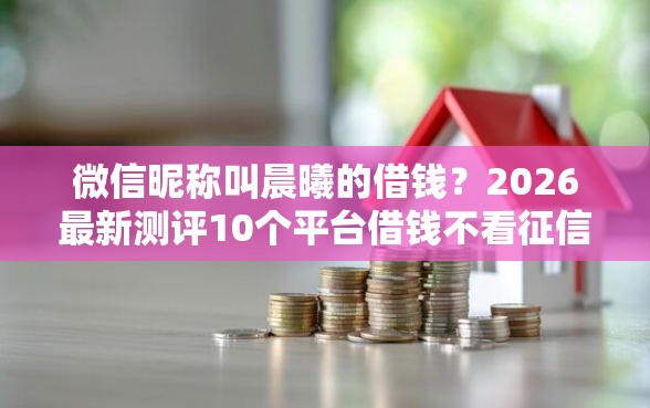 微信昵称叫晨曦的借钱？2026最新测评10个平台借钱不看征信秒到账