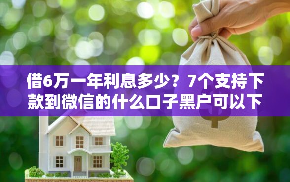 借6万一年利息多少？7个支持下款到微信的什么口子黑户可以下款
