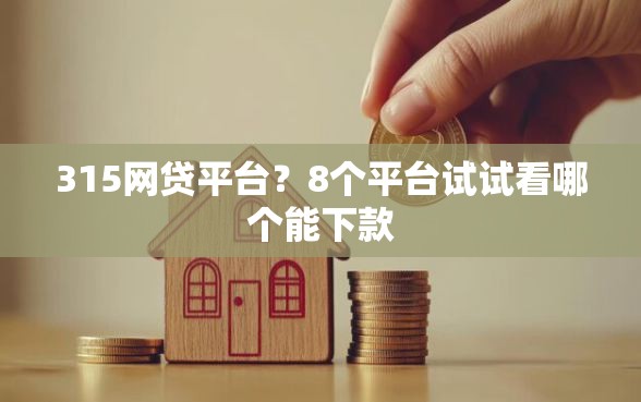 315网贷平台？8个平台试试看哪个能下款