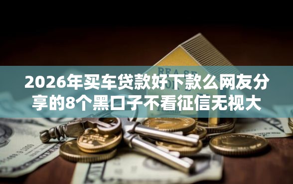 2026年买车贷款好下款么网友分享的8个黑口子不看征信无视大数据我觉得不错！