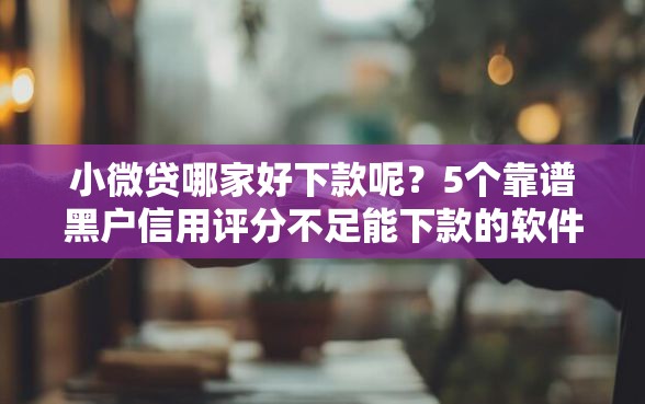 小微贷哪家好下款呢?5个靠谱黑户信用评分不足能下款的软件推荐 小微贷哪家好下款呢?5个靠谱黑户信用评分不足能下款的软件推荐