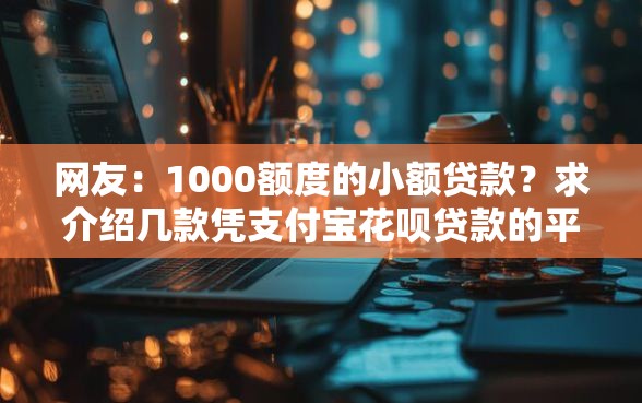 网友：1000额度的小额贷款？求介绍几款凭支付宝花呗贷款的平台
