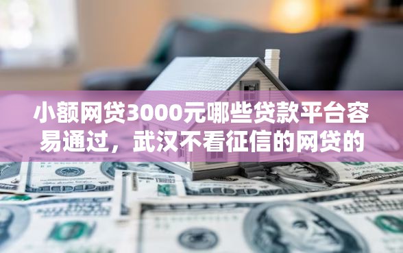 小额网贷3000元哪些贷款平台容易通过，武汉不看征信的网贷的8个平台介绍