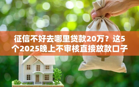 征信不好去哪里贷款20万？这5个2025晚上不审核直接放款口子可以试试