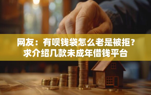 网友：有呗钱袋怎么老是被拒？求介绍几款未成年借钱平台