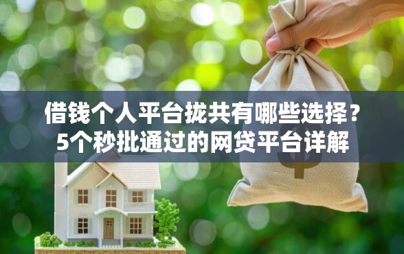 借钱个人平台拢共有哪些选择？5个秒批通过的网贷平台详解