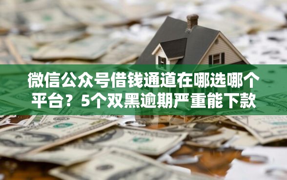 微信公众号借钱通道在哪选哪个平台？5个双黑逾期严重能下款的平台推荐