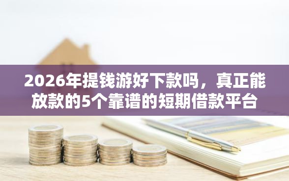 2026年提钱游好下款吗，真正能放款的5个靠谱的短期借款平台推荐