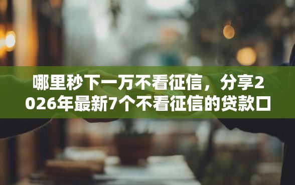 哪里秒下一万不看征信，分享2026年最新7个不看征信的贷款口子