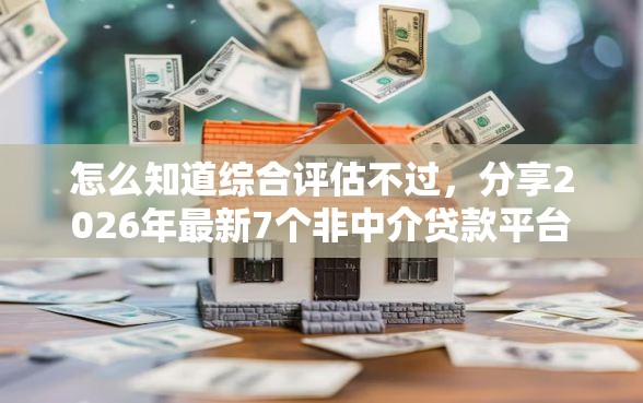 怎么知道综合评估不过，分享2026年最新7个非中介贷款平台