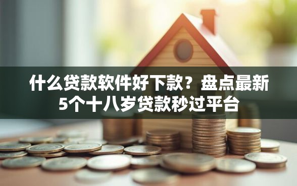 什么贷款软件好下款？盘点最新5个十八岁贷款秒过平台