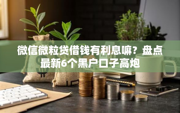 微信微粒贷借钱有利息嘛？盘点最新6个黑户口子高炮