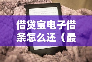 借贷宝电子借条怎么还（最新发布！）5个哪家平台黑户可以借钱