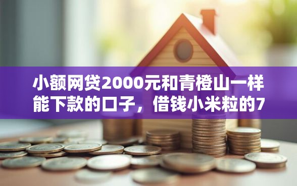 小额网贷2000元和青橙山一样能下款的口子，借钱小米粒的7个平台介绍