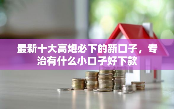 最新十大高炮必下的新口子，专治有什么小口子好下款