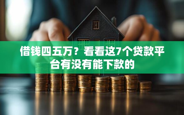 借钱四五万?看看这7个贷款平台有没有能下款的 借钱四五万?看看这7个贷款平台有没有能下款的