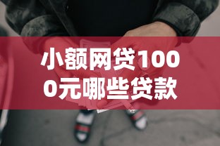 小额网贷1000元哪些贷款平台是正规的，十九岁可以申请的网贷的5个平台介绍