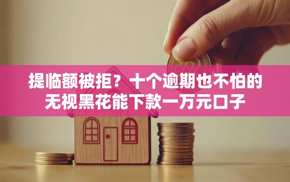 提临额被拒?十个逾期也不怕的无视黑花能下款一万元口子 提临额被拒?十个逾期也不怕的无视黑花能下款一万元口子