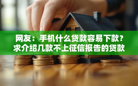 网友：手机什么贷款容易下款？求介绍几款不上征信报告的贷款口子