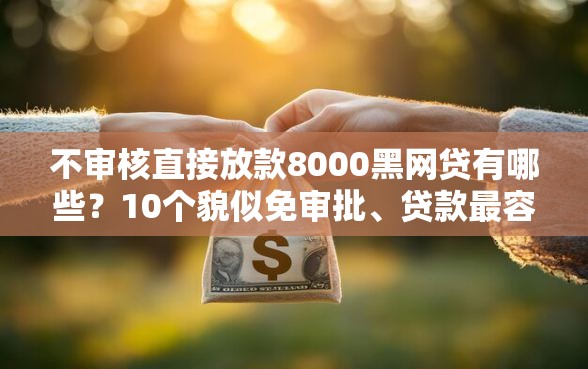 不审核直接放款8000黑网贷有哪些？10个貌似免审批、贷款最容易通过的平台合集