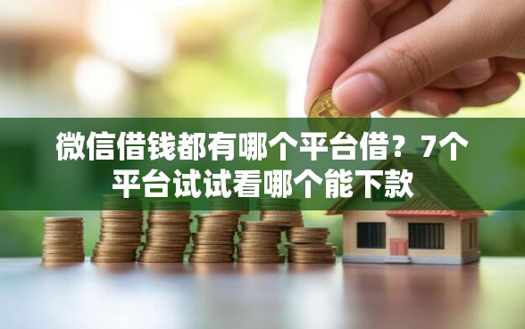 微信借钱都有哪个平台借？7个平台试试看哪个能下款