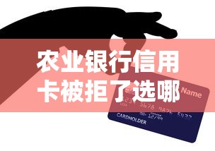 农业银行信用卡被拒了选哪个平台？7个10个最可靠的网贷平台推荐