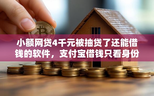 小额网贷4千元被抽贷了还能借钱的软件，支付宝借钱只看身份证的8个平台介绍