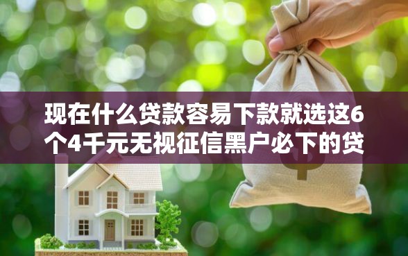 现在什么贷款容易下款就选这6个4千元无视征信黑户必下的贷款口子