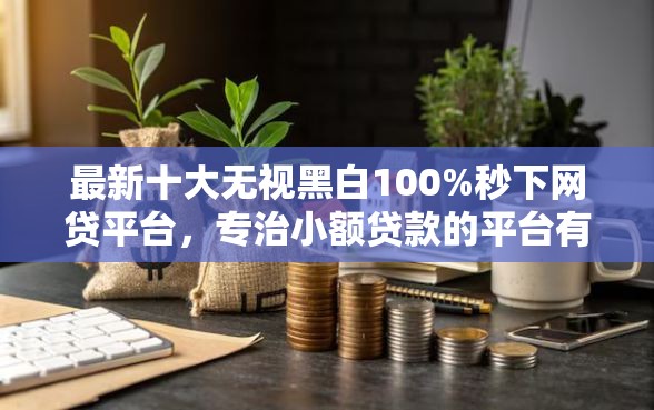 最新十大无视黑白100%秒下网贷平台,专治小额贷款的平台有哪些带两万块 最新十大无视黑白100%秒下网贷平台,专治小额贷款的平台有哪些带两万块