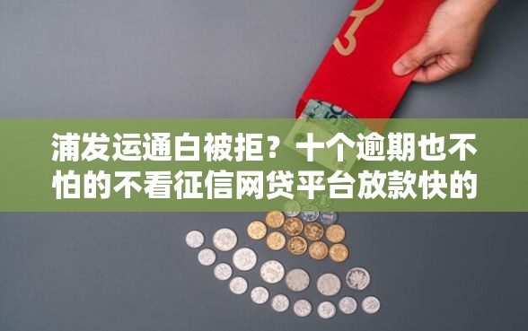浦发运通白被拒？十个逾期也不怕的不看征信网贷平台放款快的软件