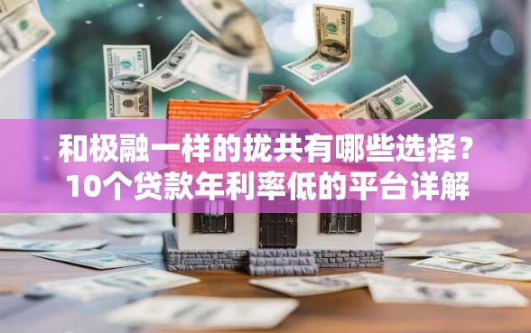 和极融一样的拢共有哪些选择?10个贷款年利率低的平台详解 和极融一样的拢共有哪些选择?10个贷款年利率低的平台详解