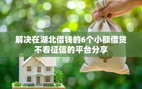 解决在湖北借钱的6个小额借贷不看征信的平台分享
