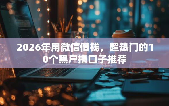 2026年用微信借钱，超热门的10个黑户撸口子推荐