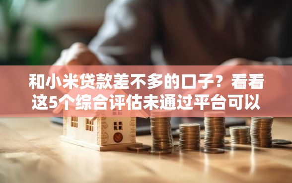 和小米贷款差不多的口子？看看这5个综合评估未通过平台可以借钱怎么样
