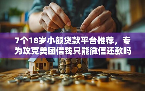 7个18岁小额贷款平台推荐，专为攻克美团借钱只能微信还款吗难题