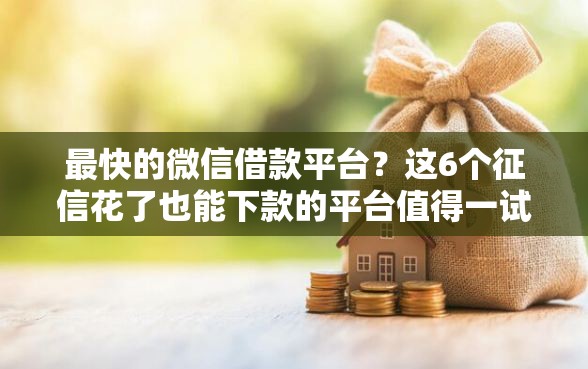 最快的微信借款平台？这6个征信花了也能下款的平台值得一试