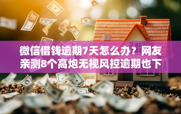 微信借钱逾期7天怎么办？网友亲测8个高炮无视风控逾期也下款的口子盘点
