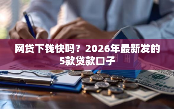网贷下钱快吗?2026年最新发的5款贷款口子 网贷下钱快吗?2026年最新发的5款贷款口子