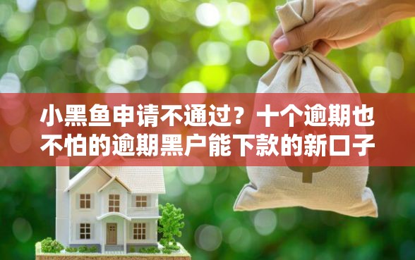 小黑鱼申请不通过？十个逾期也不怕的逾期黑户能下款的新口子