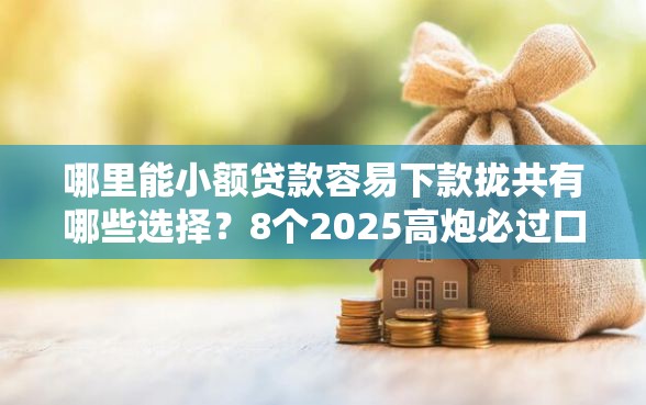 哪里能小额贷款容易下款拢共有哪些选择？8个2025高炮必过口子秒下款详解